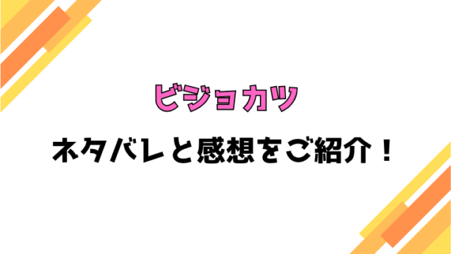 『ビジョカツ』全話ネタバレと感想！最終回・結末も考察！