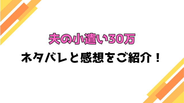 『夫の小遣い30万』全話ネタバレと感想！最終回・結末も考察！